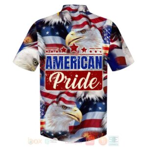 America Pride Eagle Independence Day 3D Hoodie