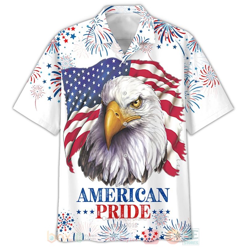 Eagle American Pride Independence Day 3D Hoodie Eagle American Pride Independence Day 3D Hoodie