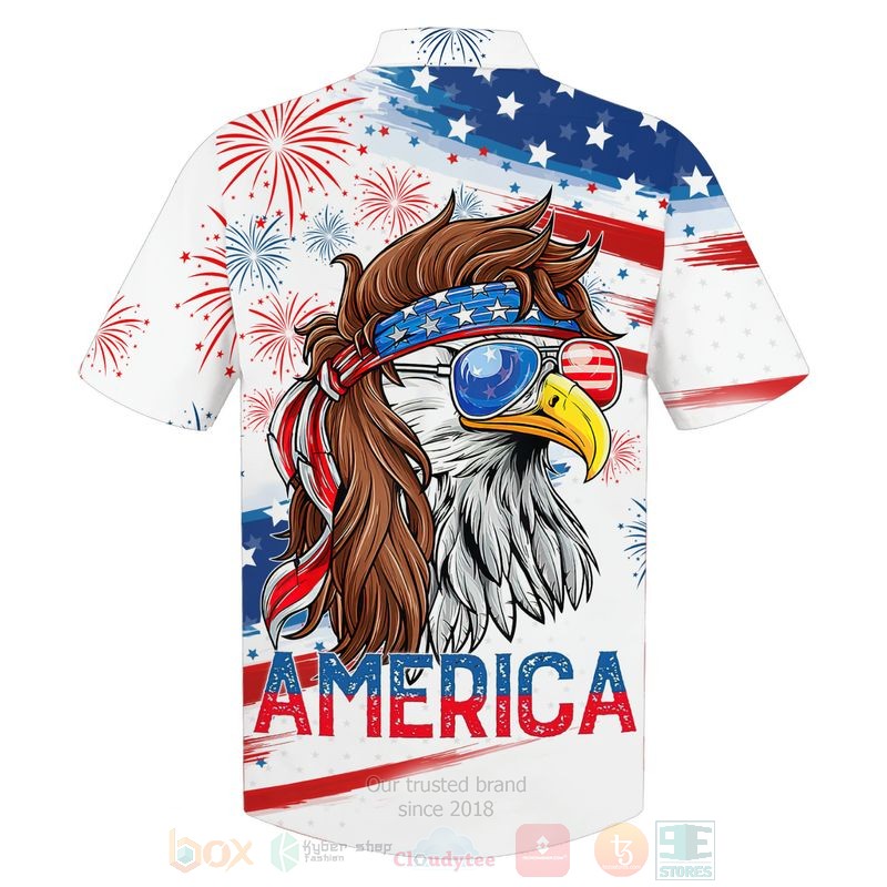Flag Eagle Us Independence Day 3D Hoodie Flag Eagle Us Independence Day 3D Hoodie