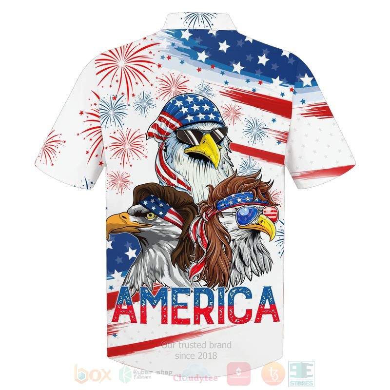 Flag Eagles Us Independence Day 3D Hoodie Flag Eagles Us Independence Day 3D Hoodie