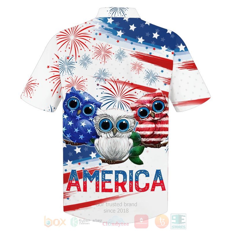 Flag Owl Us Independence Day 3D Hoodie Flag Owl Us Independence Day 3D Hoodie