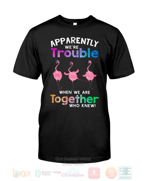 Shirt Shirt