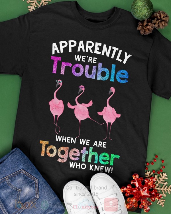 Flamingo-Apparently-Were-Trouble-When-We-Are-To-Gether-Who-Knew-Hoodie-Shirt-2