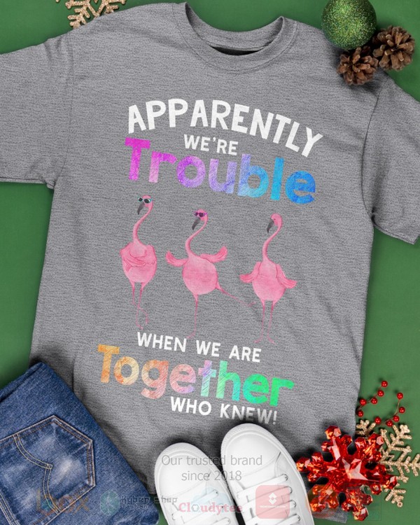 Flamingo-Apparently-Were-Trouble-When-We-Are-To-Gether-Who-Knew-Hoodie-Shirt-3
